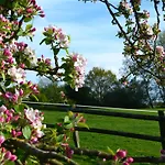 Tatil Evi Le Domaine Des Tostes Bonneville-la-Louvet