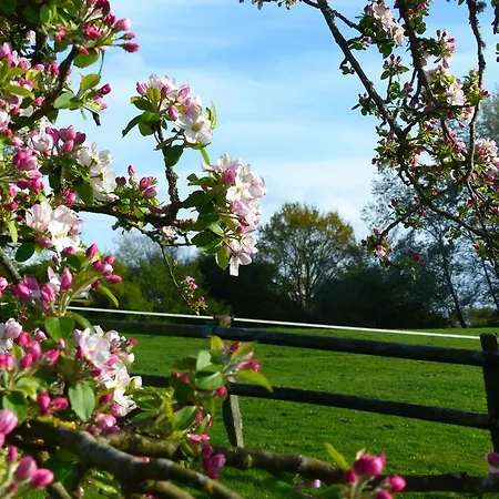 Prázdninový dům Le Domaine Des Tostes Bonneville-la-Louvet