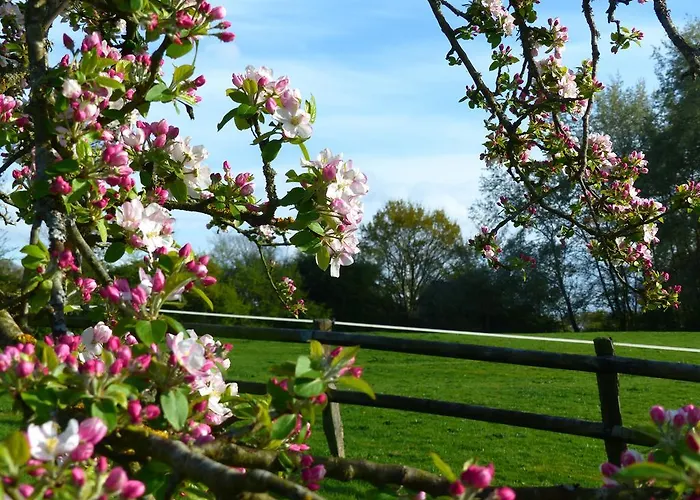Feriehus Le Domaine Des Tostes Bonneville-la-Louvet