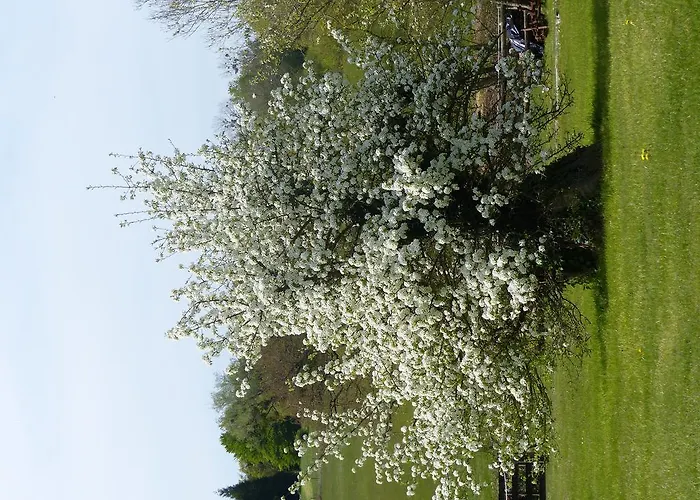 Feriehus Le Domaine Des Tostes Bonneville-la-Louvet